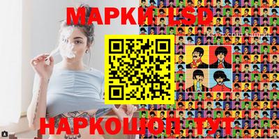индика Сланцы