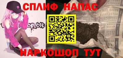 индика Сланцы