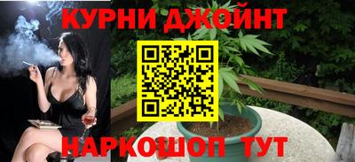 индика Сланцы