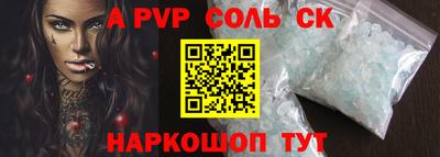 индика Сланцы