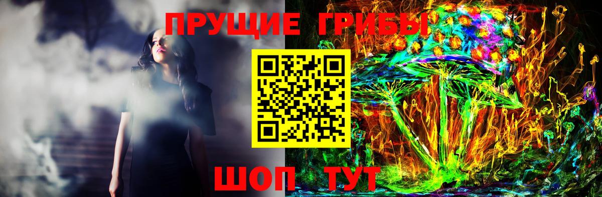 Светлоград  Галлюциногенные грибы GOLDEN TEACHER  Вход с VPN 